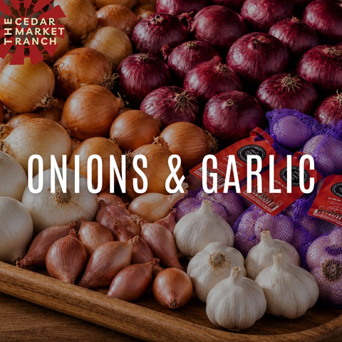 Onion & Garlic