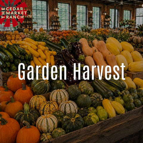 Garden Harvest