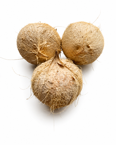 FRESH COCONUT