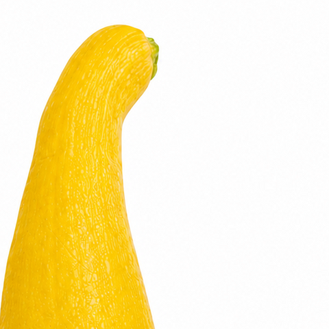 FRESH YELLOW SQUASH