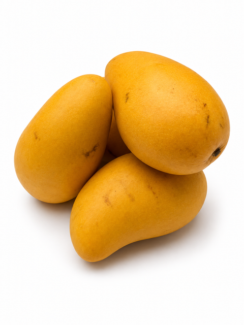 FRESH ATAULFO MANGO