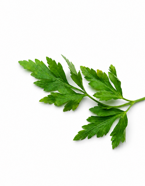 FRESH PARSLEY BUNCH