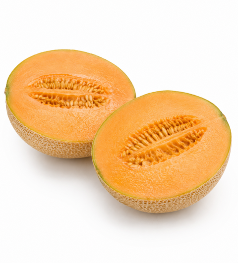FRESH CANTALOUPE MELON