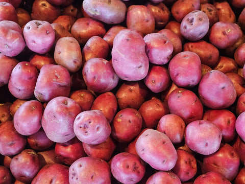 Potato Red