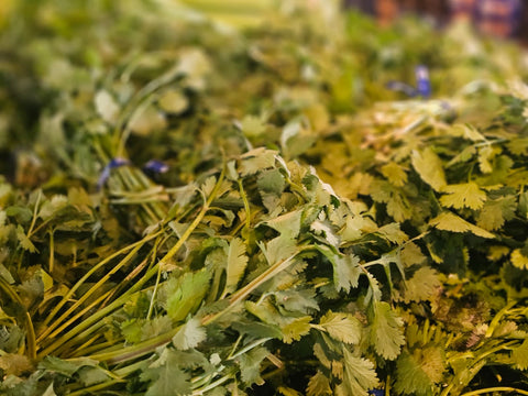 Cilantro (Each)