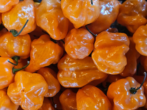 Bulk Habanero Pepper Orange