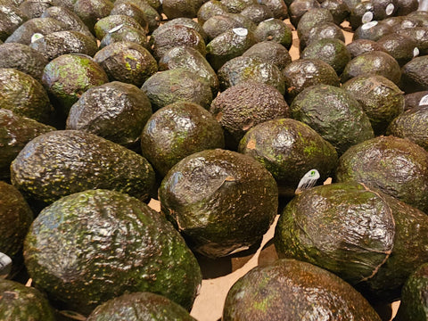 Avocado Small (each)
