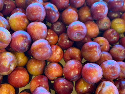 Plums (1LB)