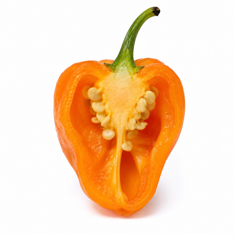 FRESH ORANGE HABANERO PEPPER