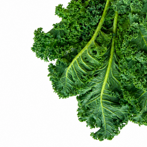 FRESH CURLY KALE