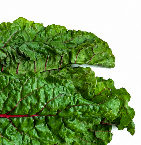 FRESH RED SWISS CHARD