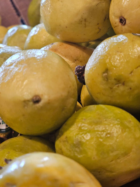 Guava Fresh