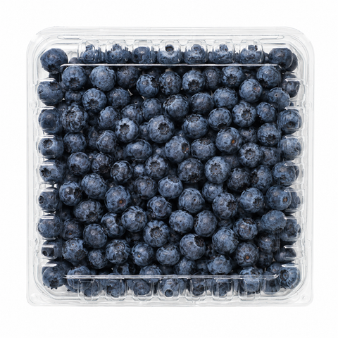 FRESH BLUEBERRIES