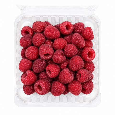 FRESH RASPBERRIES