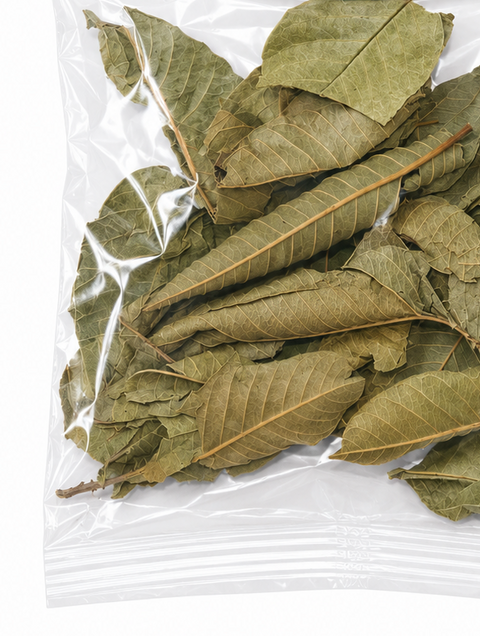 NATURAL GUAVA LEAVES