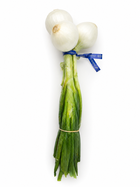 FRESH GREEN ONION