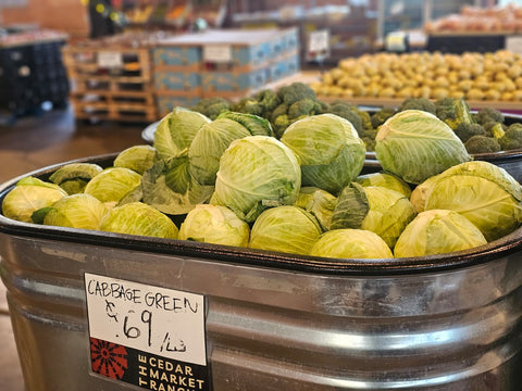 Bulk Cabbage Green