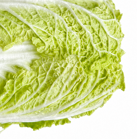 FRESH NAPA CABBAGE
