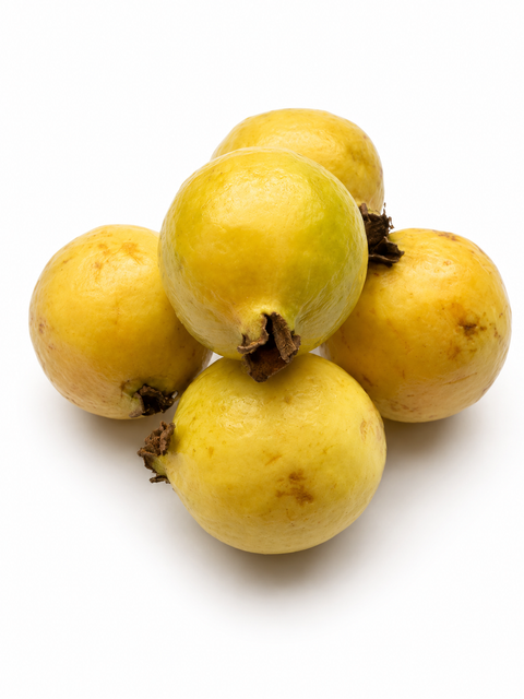 FRESH GUAVA
