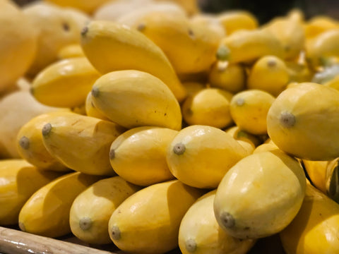 Yellow Squash