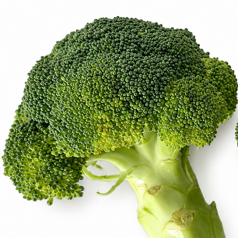 FRESH BROCOLI