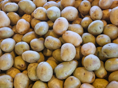 Bulk Potato White