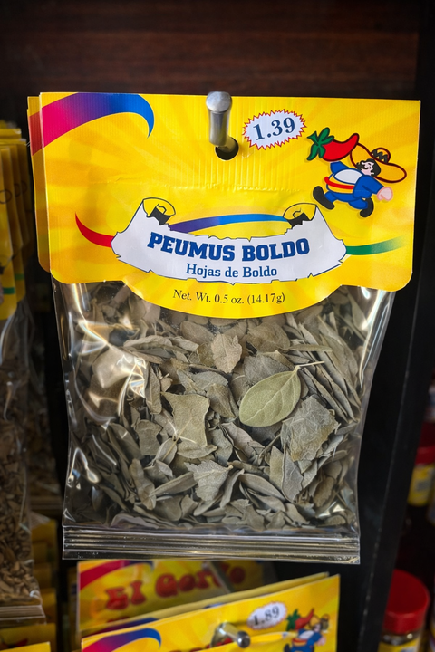 boldo plant seeds Peumus Boldo – The Cedar Market Ranch