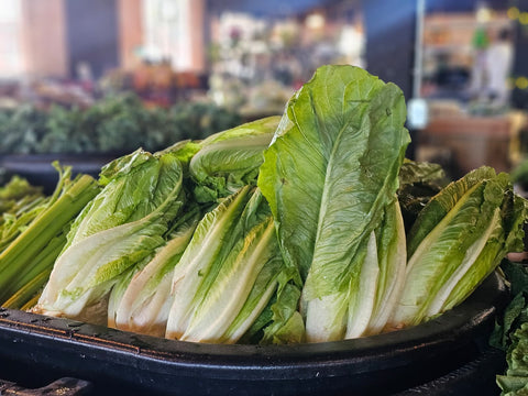 Romaine Hearts