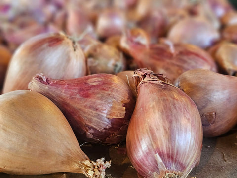 Shallots (1 Lb)