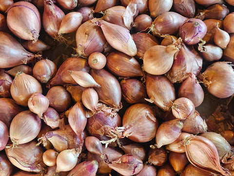 Shallots (1 Lb)
