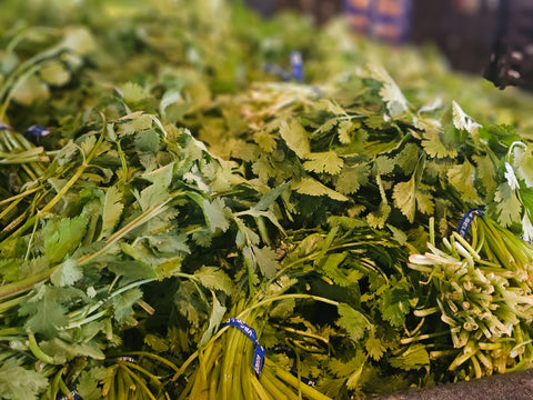 Cilantro (Each)