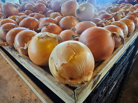 Onion Yellow (1Lb)