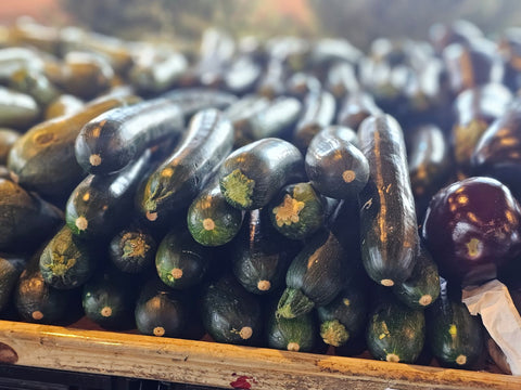Zucchini