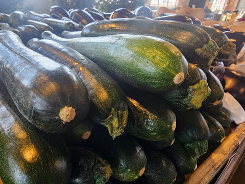 Zucchini