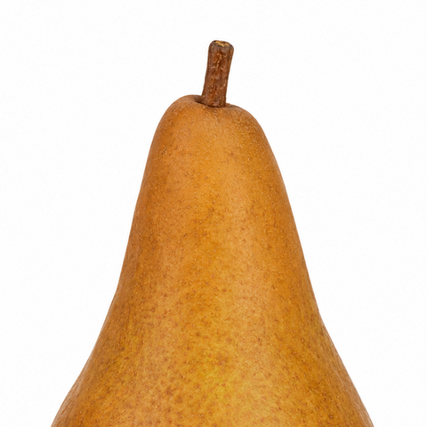 FRESH BOSC PEAR