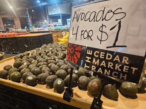 Avocado Small (each)