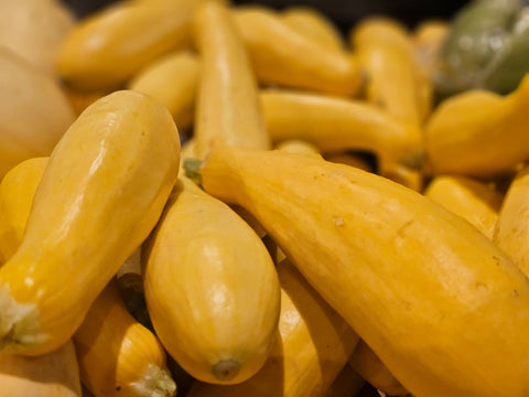 Yellow Squash