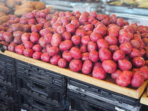Potato Red