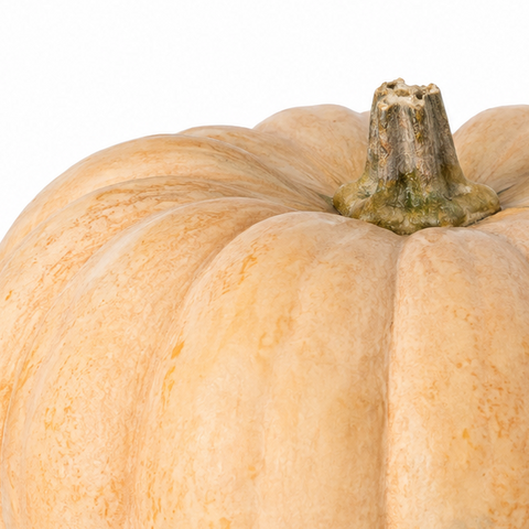 FRESH CASTILLA PUMPKIN