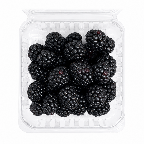 FRESH BLACKBERRIES