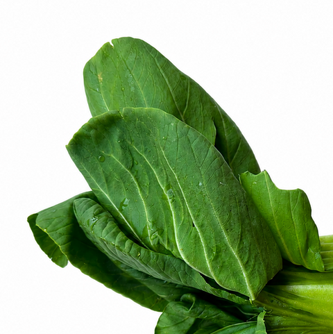 FRSH SHANGHAI BOK CHOY