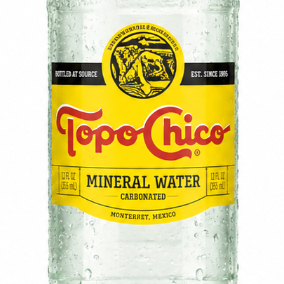 TOPO CHICO CARBONATED MINERAL WATER – 12 OZ