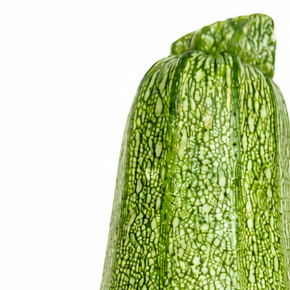 FRESH MEXICAN GREY SQUASH