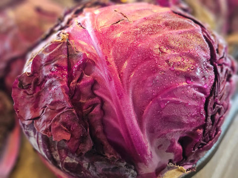 Bulk Cabbage Red (each)