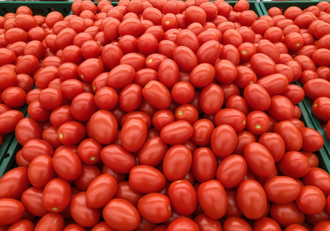 Tomatoes – The Cedar Market Ranch