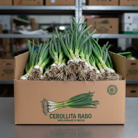 Cebollita Rabo Box