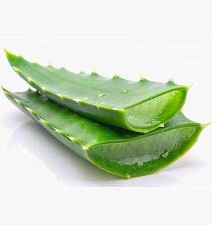 FRESH ALOE VERA
